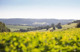 Amstel Gold Race Experience